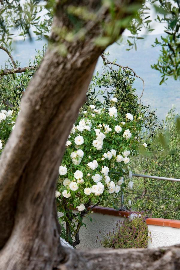 Villa Annetta Poggi Buitenkant foto
